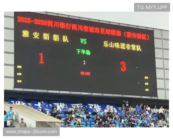 乐山足球2011队奋勇拼搏再创辉煌描绘城市体育精神新篇章 乐山足球2011队奋勇拼搏再创辉煌描绘城市体育精神新篇章